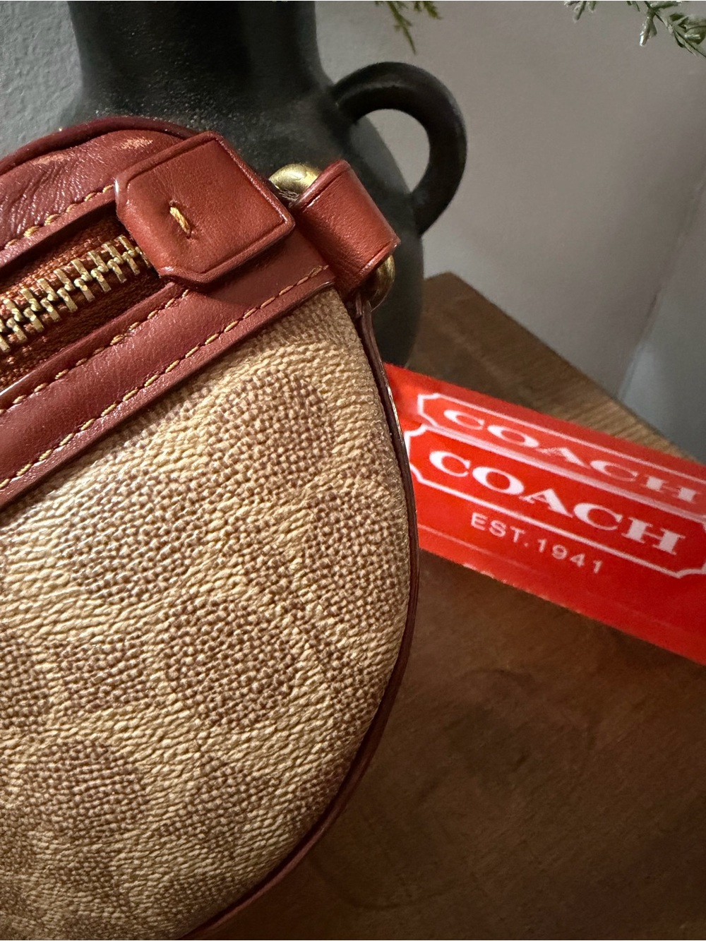 Coach Bethany Belt Bag - Picture 5 of 14